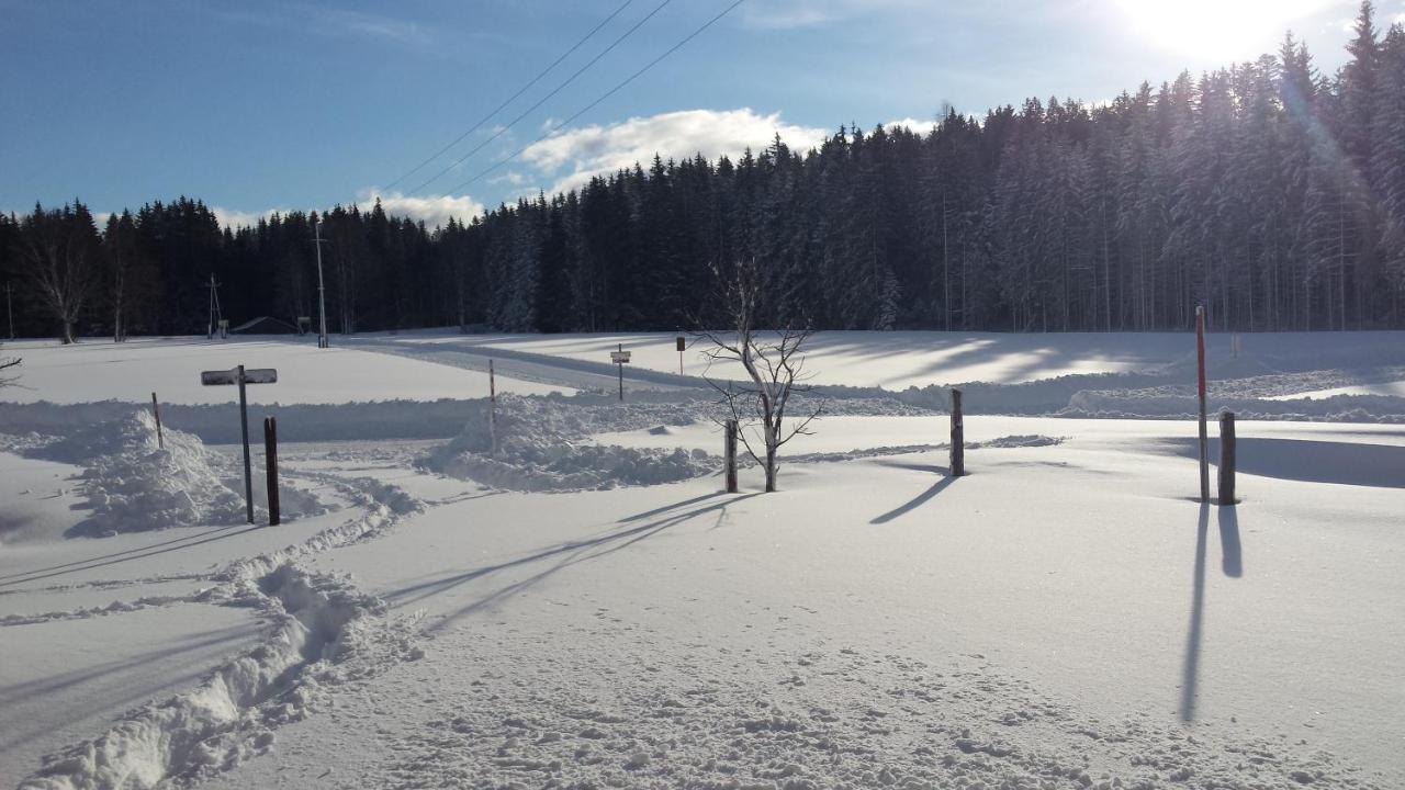 Haus Ferienglueck Ramsau am Dachstein Exterior foto