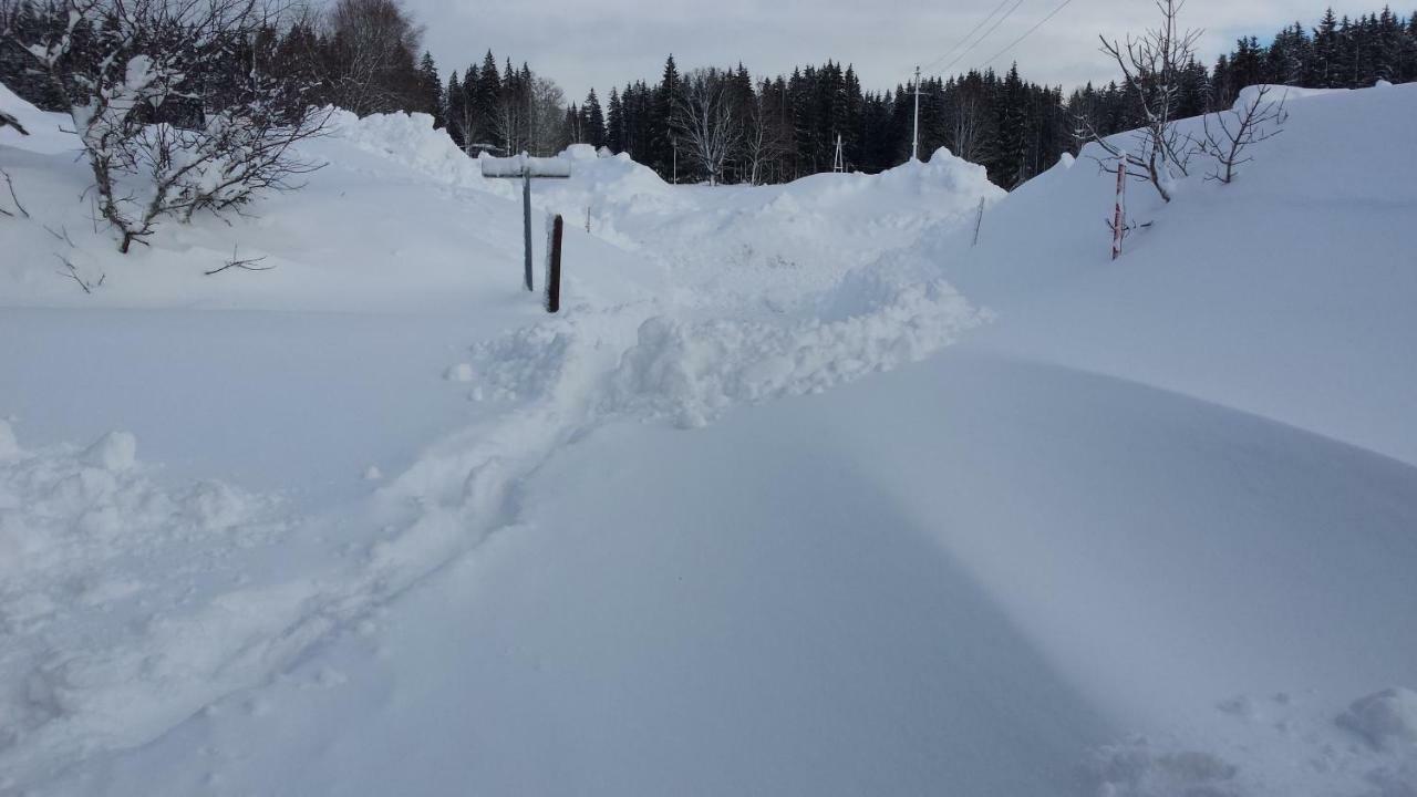 Haus Ferienglueck Ramsau am Dachstein Exterior foto